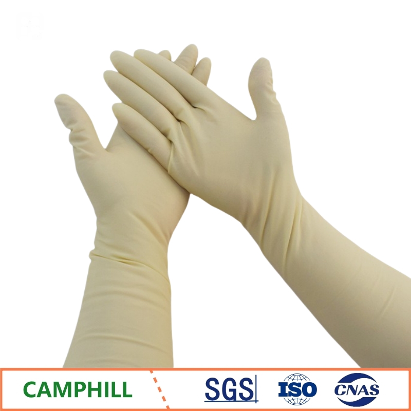 Disposable Latex Gloves 20 Inc - đánh giá và giá Medical Gloves