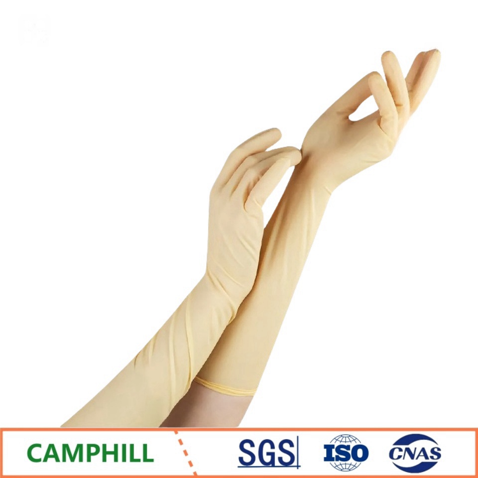 Disposable Latex Gloves 20 Inc - đánh giá và giá Medical Gloves